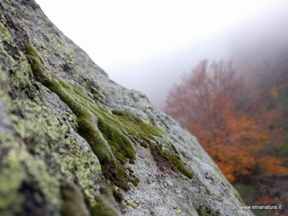 qua Rocca19-11-2017 13-53-56